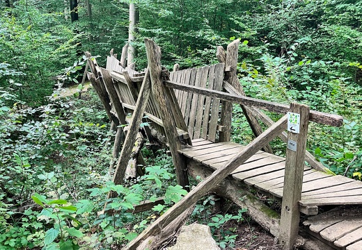 Berta - Hörnle Runde